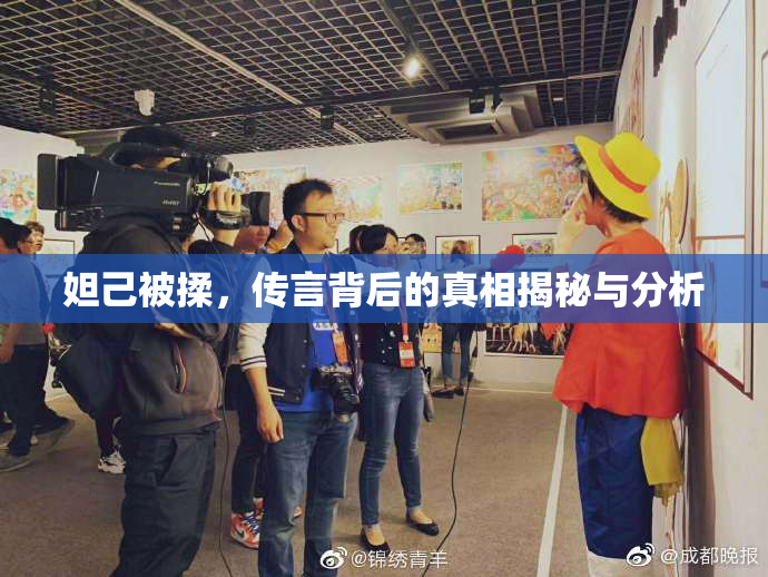 妲己被揉，传言背后的真相揭秘与分析