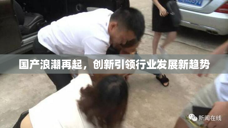 国产浪潮再起，创新引领行业发展新趋势