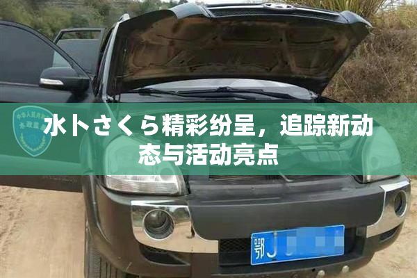 水卜さくら精彩纷呈，追踪新动态与活动亮点
