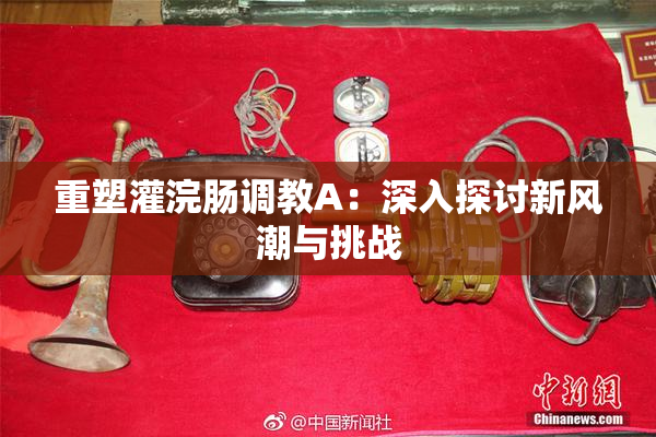 重塑灌浣肠调教A：深入探讨新风潮与挑战