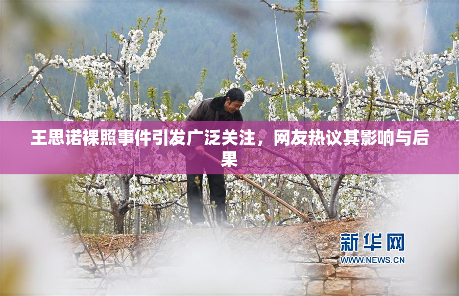 王思诺裸照事件引发广泛关注，网友热议其影响与后果