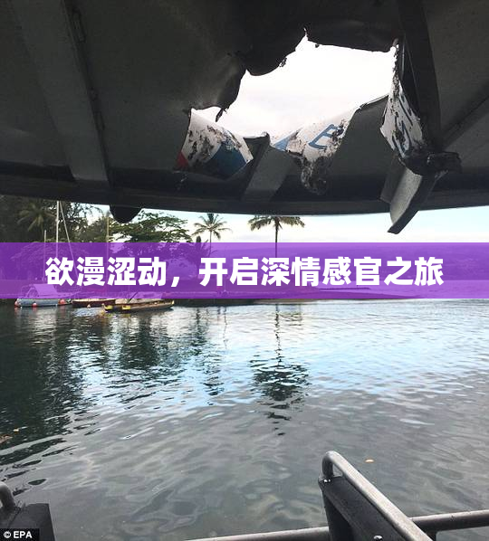 欲漫涩动，开启深情感官之旅