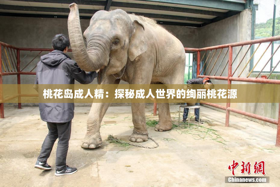 桃花岛成人精：探秘成人世界的绚丽桃花源