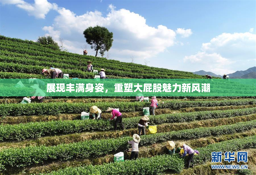 展现丰满身姿，重塑大屁股魅力新风潮