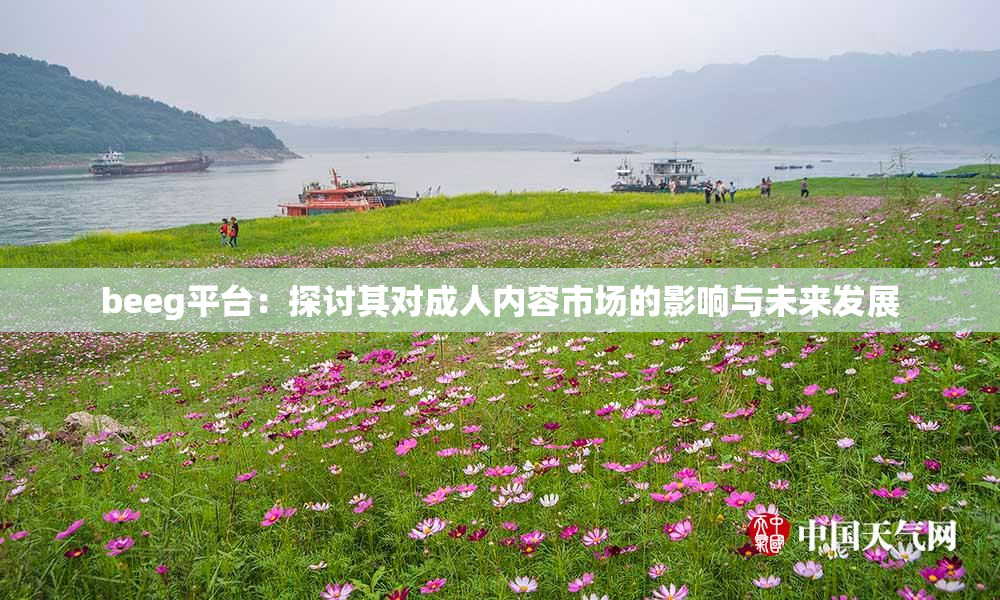 beeg平台：探讨其对成人内容市场的影响与未来发展
