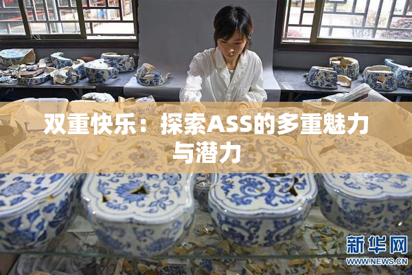 双重快乐：探索ASS的多重魅力与潜力