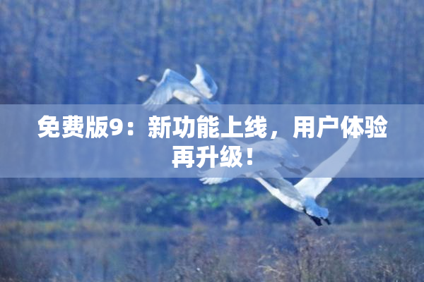 免费版9：新功能上线，用户体验再升级！