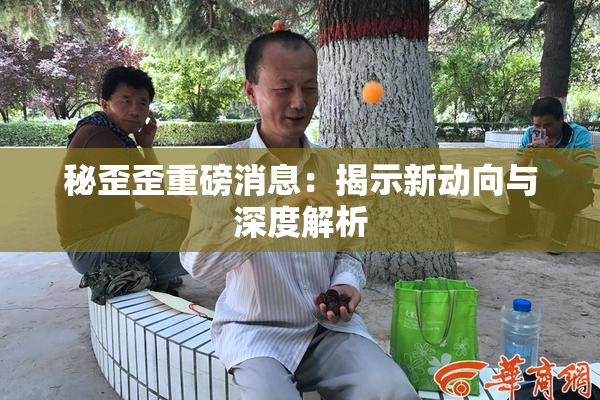 秘歪歪重磅消息：揭示新动向与深度解析