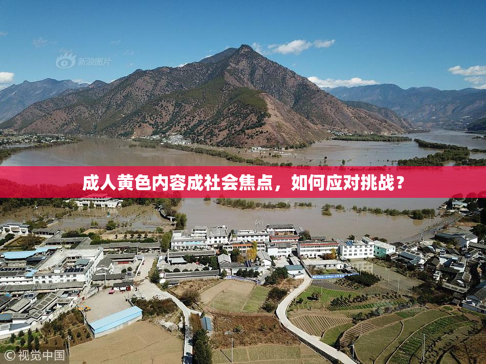 成人黄色内容成社会焦点，如何应对挑战？