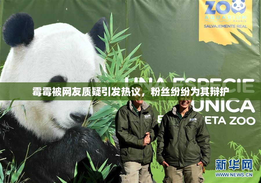霉霉被网友质疑引发热议，粉丝纷纷为其辩护