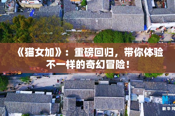 《猫女加》：重磅回归，带你体验不一样的奇幻冒险！