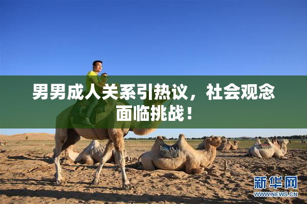 男男成人关系引热议，社会观念面临挑战！