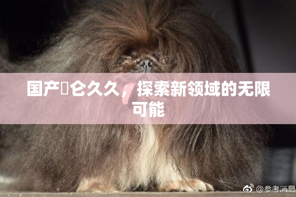 国产婬仑久久，探索新领域的无限可能