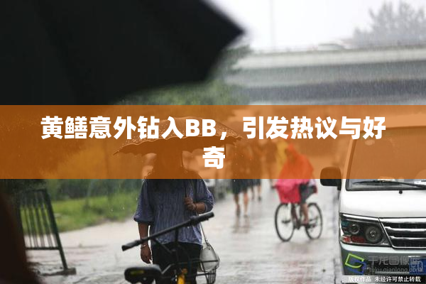 黄鳝意外钻入BB，引发热议与好奇