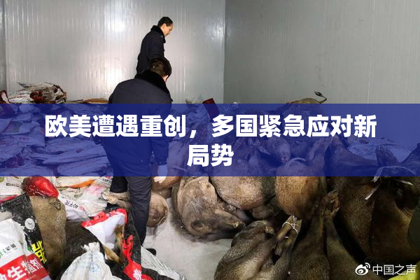 欧美遭遇重创，多国紧急应对新局势