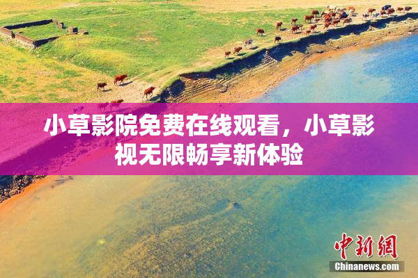 小草影院免费在线观看，小草影视无限畅享新体验