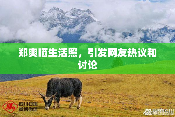 郑爽晒生活照，引发网友热议和讨论