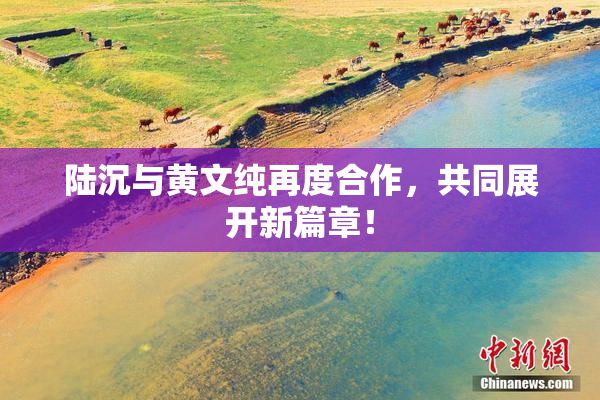 陆沉与黄文纯再度合作，共同展开新篇章！