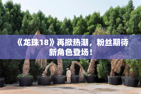 《龙珠18》再掀热潮，粉丝期待新角色登场！