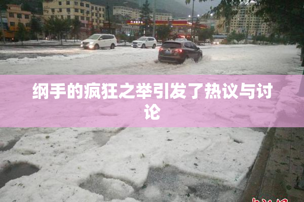 纲手的疯狂之举引发了热议与讨论