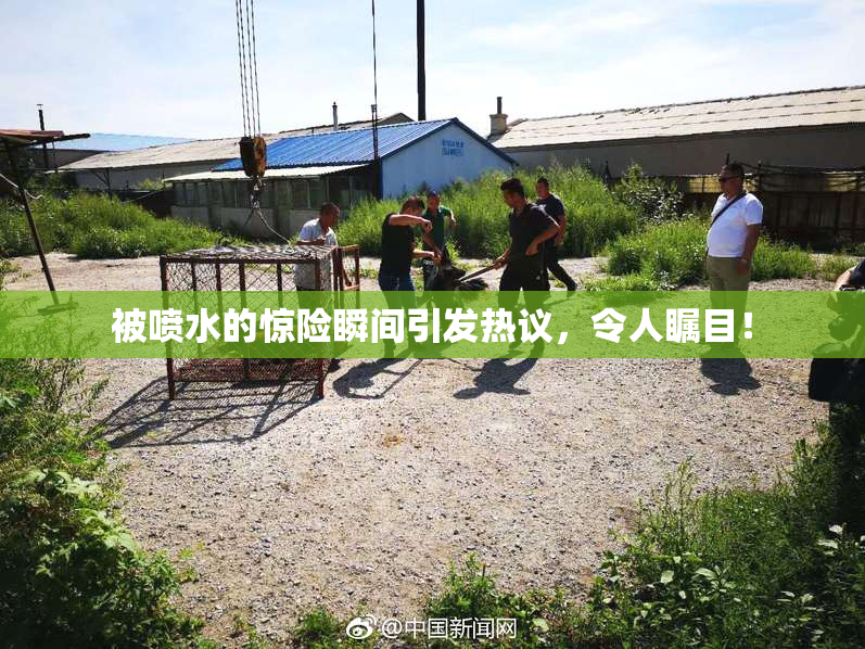被喷水的惊险瞬间引发热议，令人瞩目！