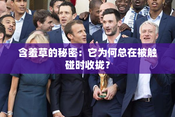 含羞草的秘密：它为何总在被触碰时收拢？