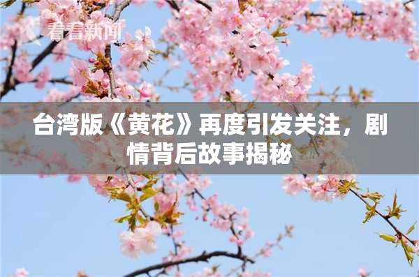 台湾版《黄花》再度引发关注，剧情背后故事揭秘