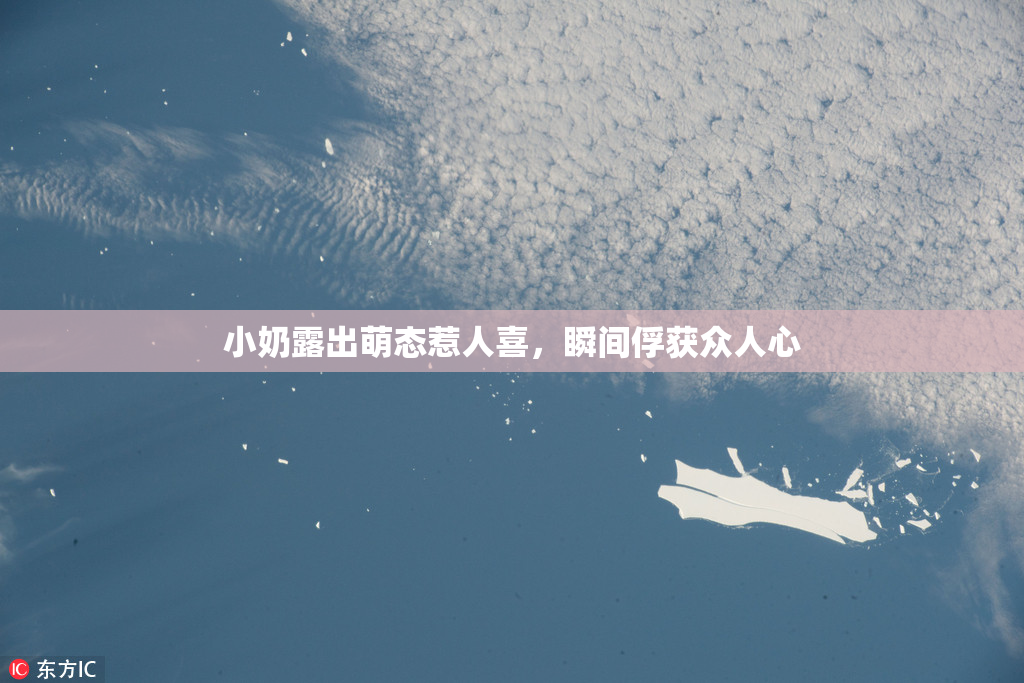 小奶露出萌态惹人喜，瞬间俘获众人心