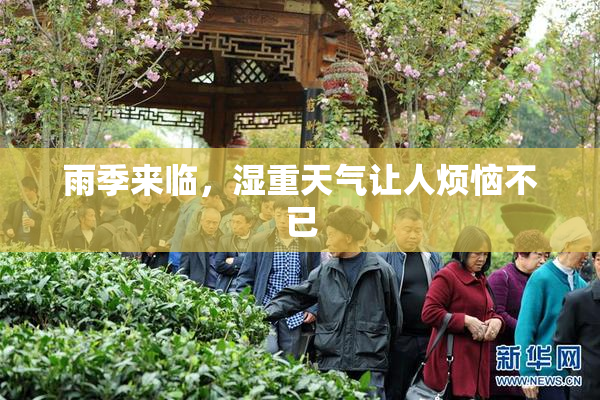 雨季来临，湿重天气让人烦恼不已