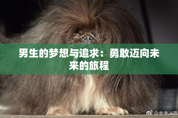 男生的梦想与追求：勇敢迈向未来的旅程