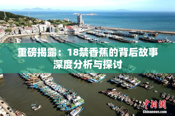 重磅揭露：18禁香蕉的背后故事深度分析与探讨