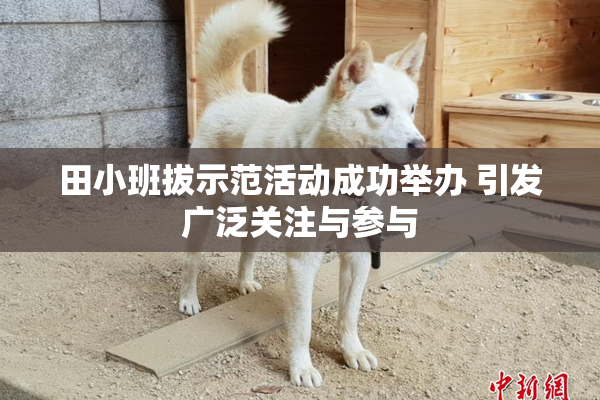 田小班拔示范活动成功举办 引发广泛关注与参与