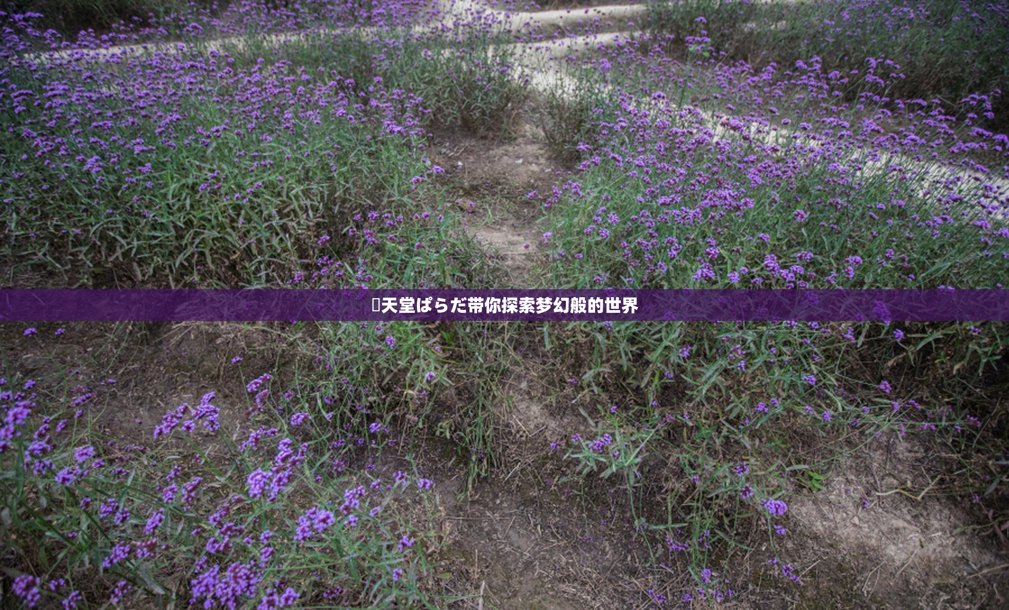 妺天堂ぱらだ带你探索梦幻般的世界