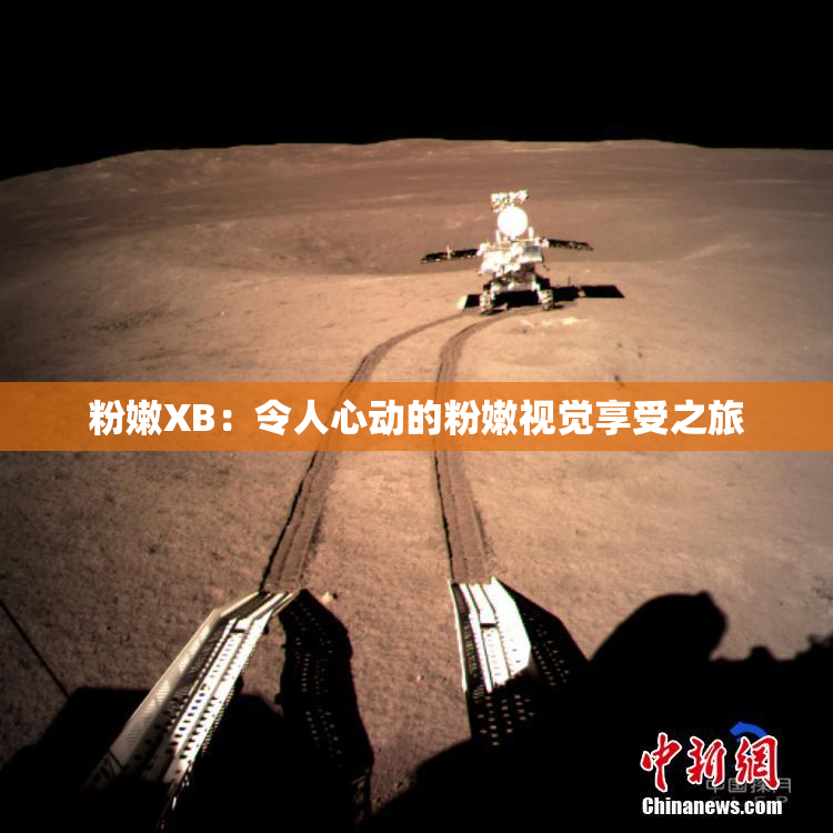 粉嫩XB：令人心动的粉嫩视觉享受之旅