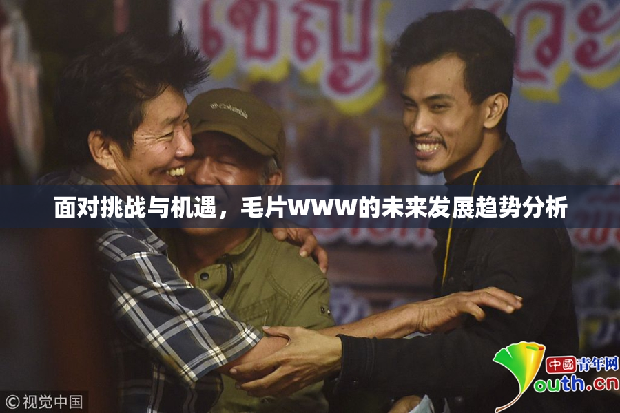 面对挑战与机遇，毛片WWW的未来发展趋势分析
