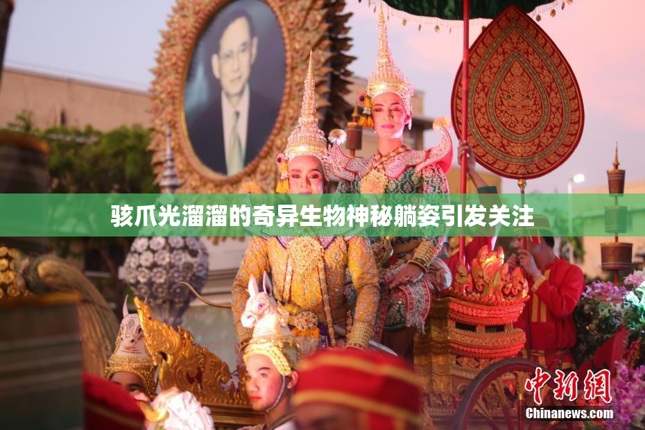 骇爪光溜溜的奇异生物神秘躺姿引发关注