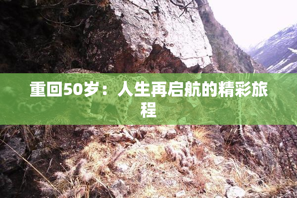 重回50岁：人生再启航的精彩旅程