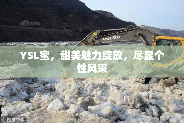 YSL蜜，甜美魅力绽放，尽显个性风采
