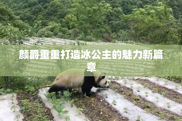 颜爵重重打造冰公主的魅力新篇章