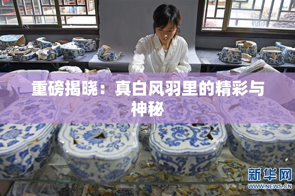 重磅揭晓：真白风羽里的精彩与神秘