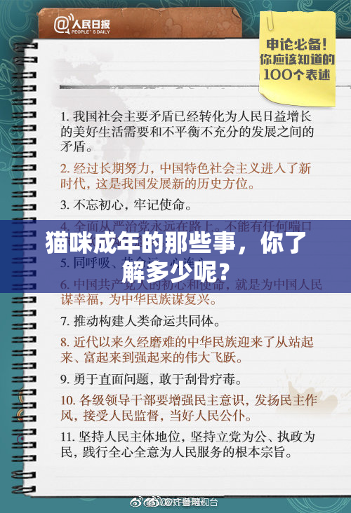 猫咪成年的那些事，你了解多少呢？