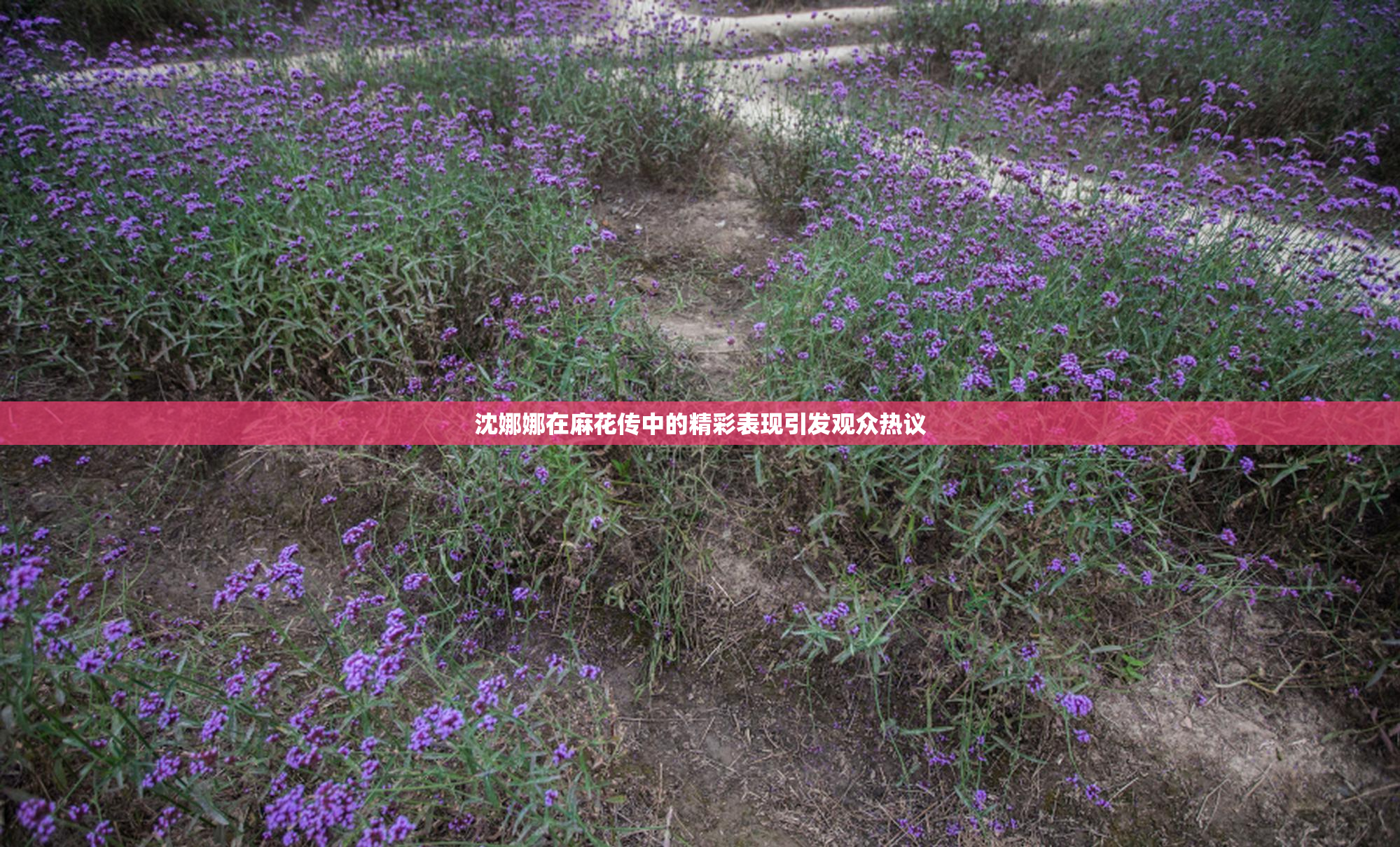沈娜娜在麻花传中的精彩表现引发观众热议