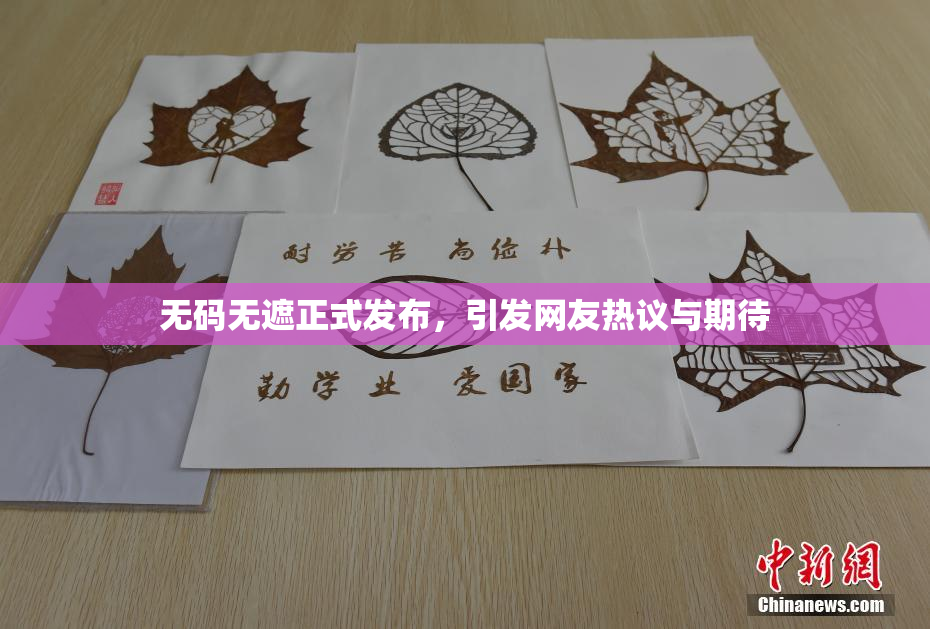 无码无遮正式发布，引发网友热议与期待