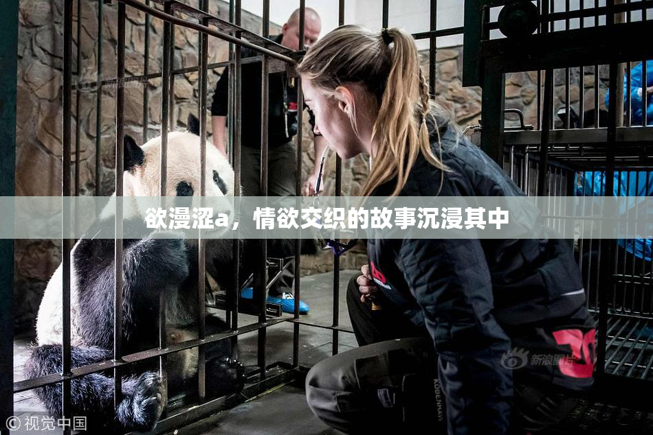 欲漫涩a，情欲交织的故事沉浸其中