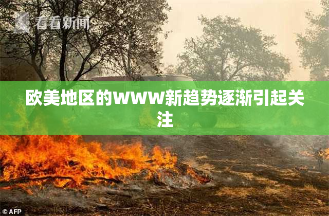欧美地区的WWW新趋势逐渐引起关注