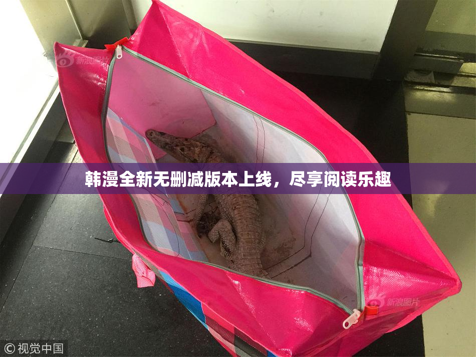 韩漫全新无删减版本上线，尽享阅读乐趣