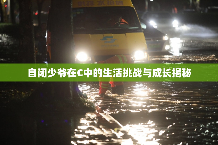 自闭少爷在C中的生活挑战与成长揭秘