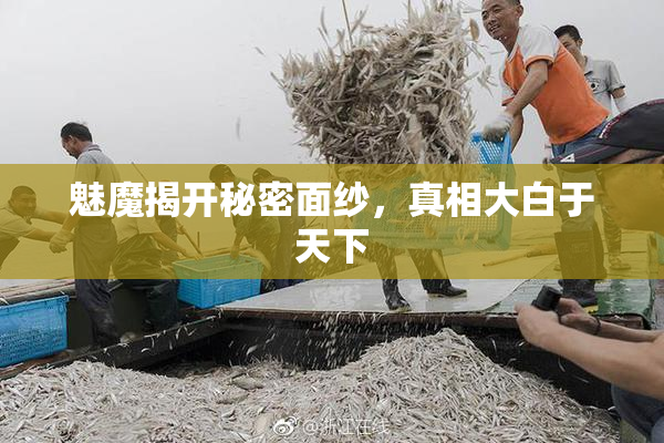 魅魔揭开秘密面纱，真相大白于天下
