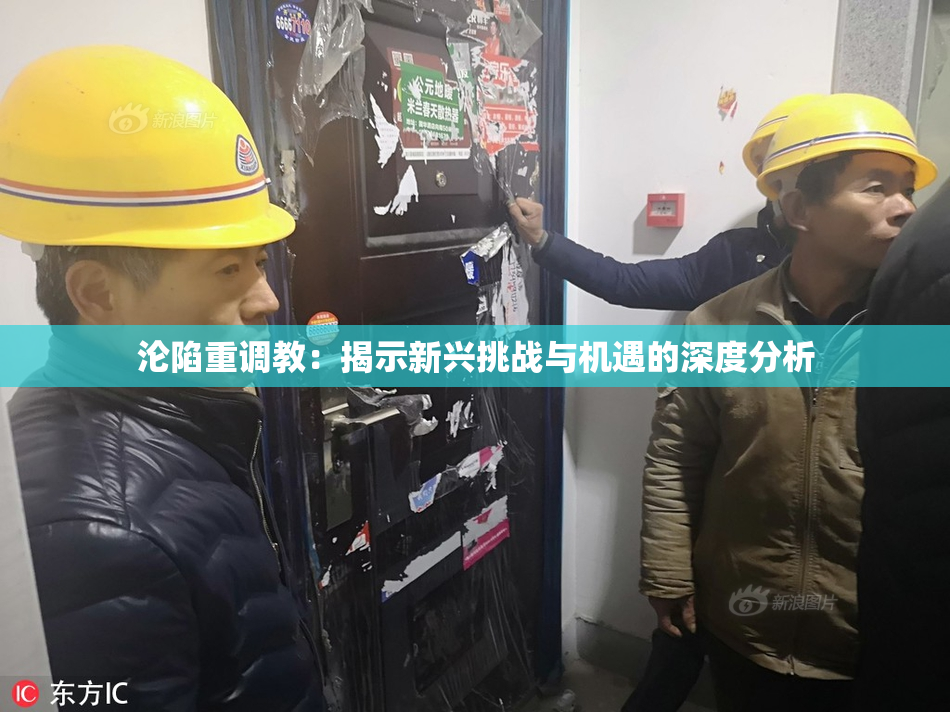 沦陷重调教：揭示新兴挑战与机遇的深度分析
