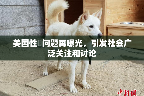 美国性婬问题再曝光，引发社会广泛关注和讨论